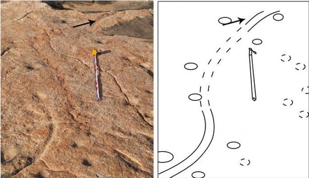 article10793050230CAFB000005DC28 634x365 1 - Geologists discover 'dinosaur dancefloor' in remote American wilderness