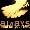 avatar13799_3121-1.png