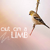 birds20-1.png