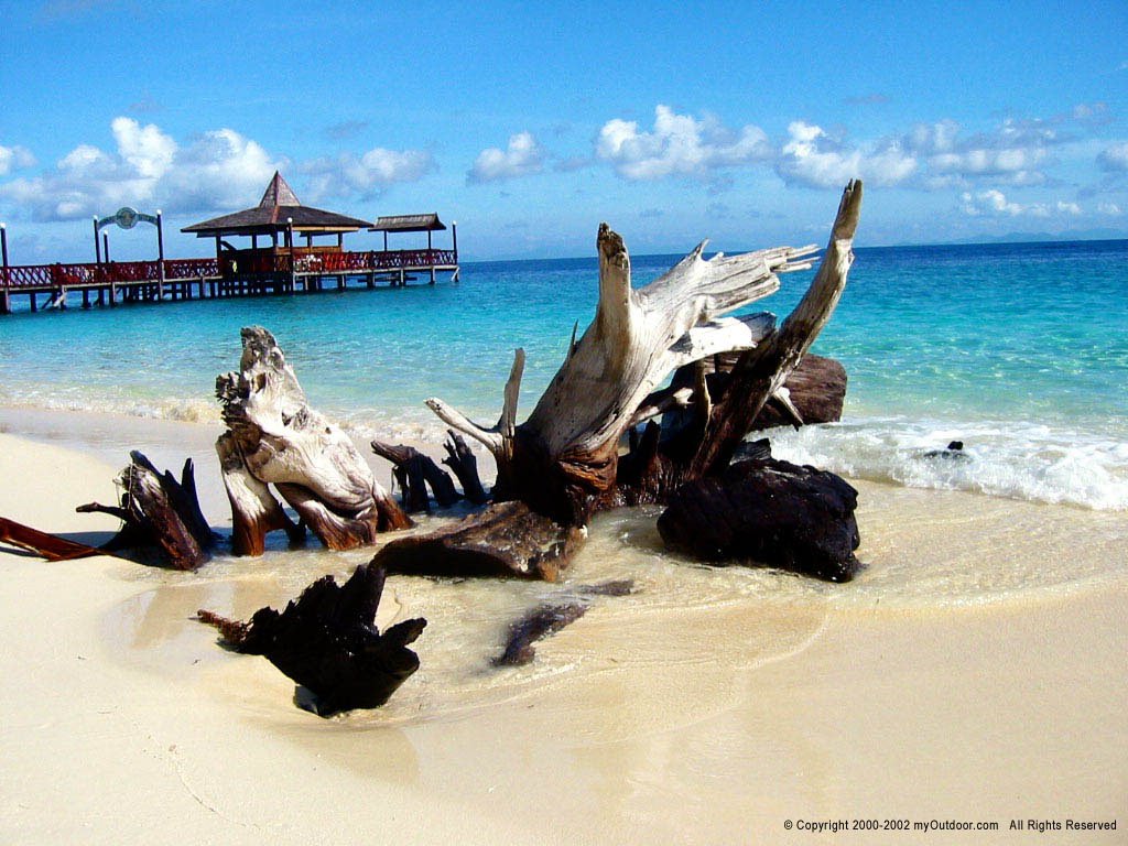 borneo_divers_sipadan-1.jpg