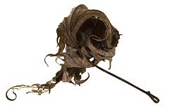 driefleaf-1.jpg