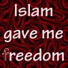 freedom-1.gif