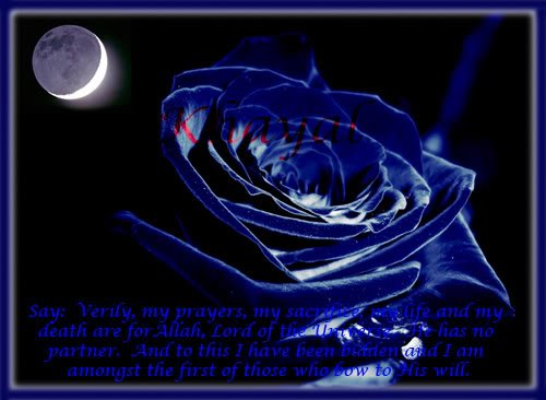 khayal 2 - Allah I love you so much