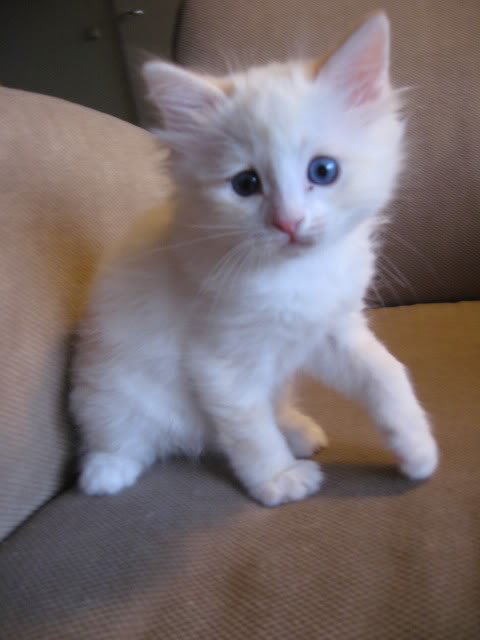 mei_2008_117-1.jpg