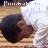 prostrate-1.gif