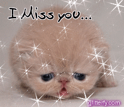sad_kitty-1.gif