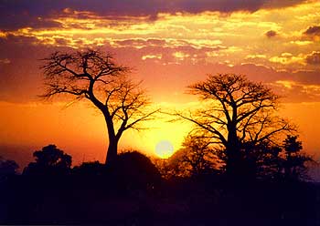 sunset-1.jpg