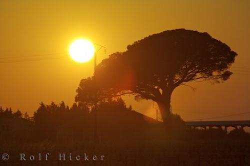 sunsetbouchesdurhone_13188-1.jpg
