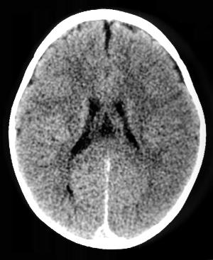 v1c01a 1 - The Medical student Review