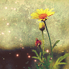 z1465179811-1.png