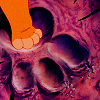 z92557409-1.png