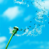 z92938266-1.png