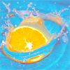 z95831151-1.png