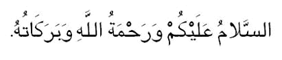 2ytzr4z-1.jpg