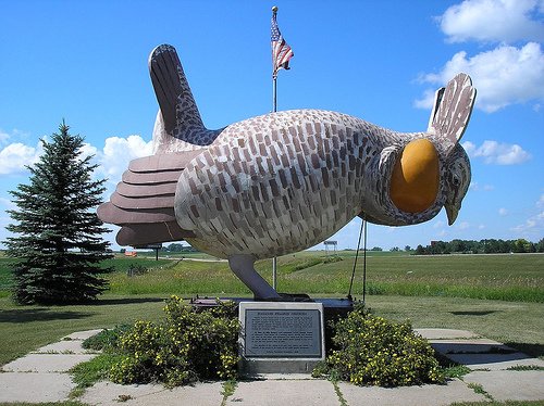 732519329_8935631b81-1.jpg