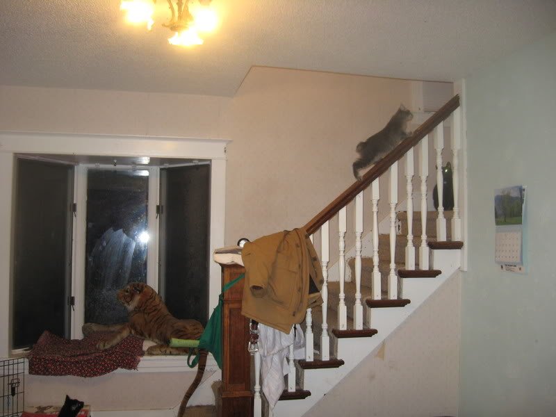 IMG_1126-1.jpg