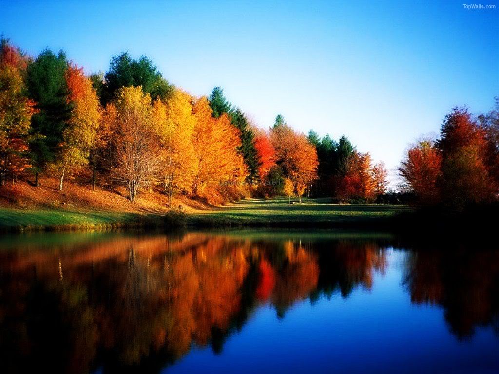 Nature1-1.jpg