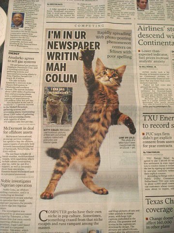 lolcats-1.jpg