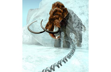 10_science_mammoth-1.jpg