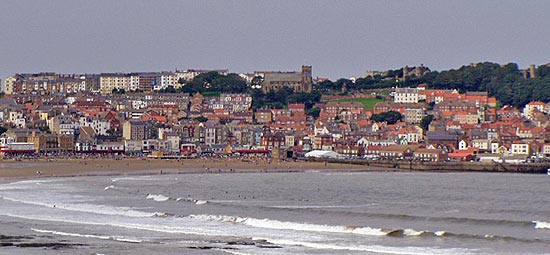 116137004520152C6-1.jpg