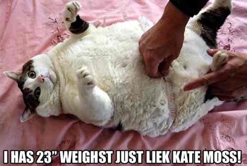 23weighst20copy-1.jpg
