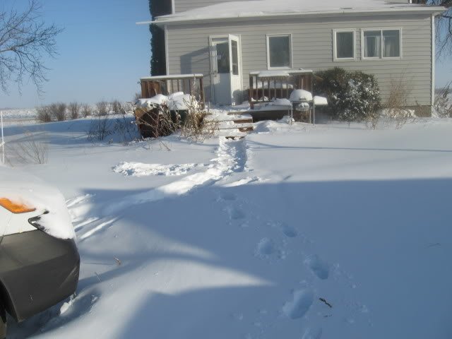 IMG_1335-1.jpg