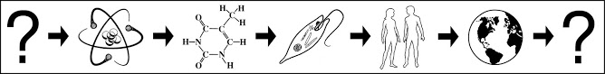 NewLogo2008-1.bmp