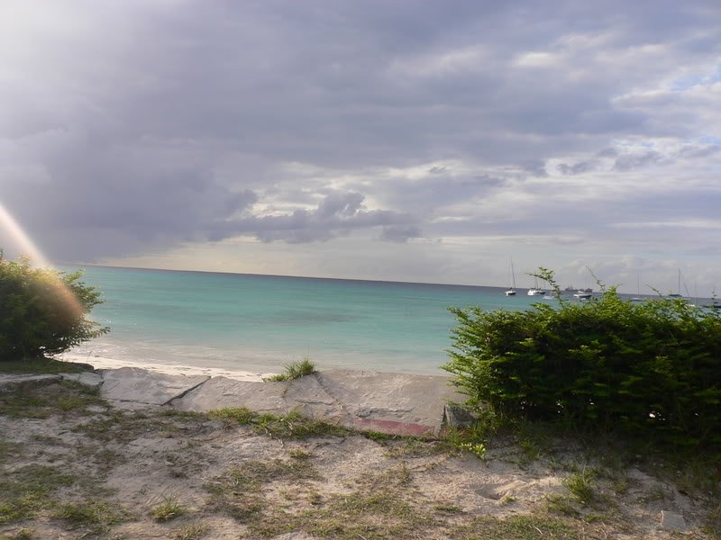 P1060555-1.jpg