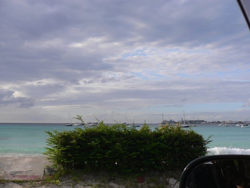 P1060556-1.jpg