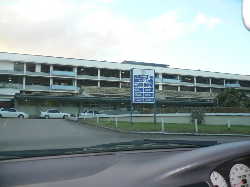 P1060608-1.jpg