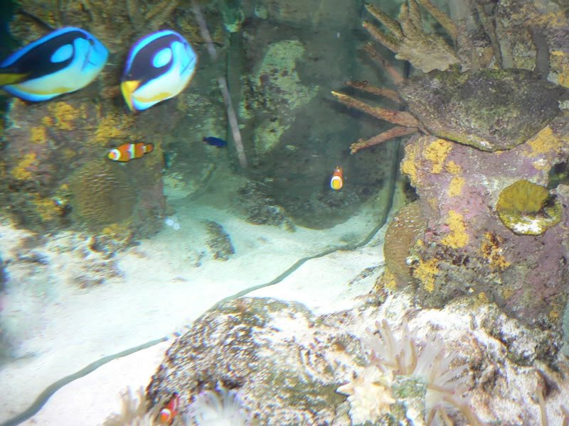 P1060867-1.jpg