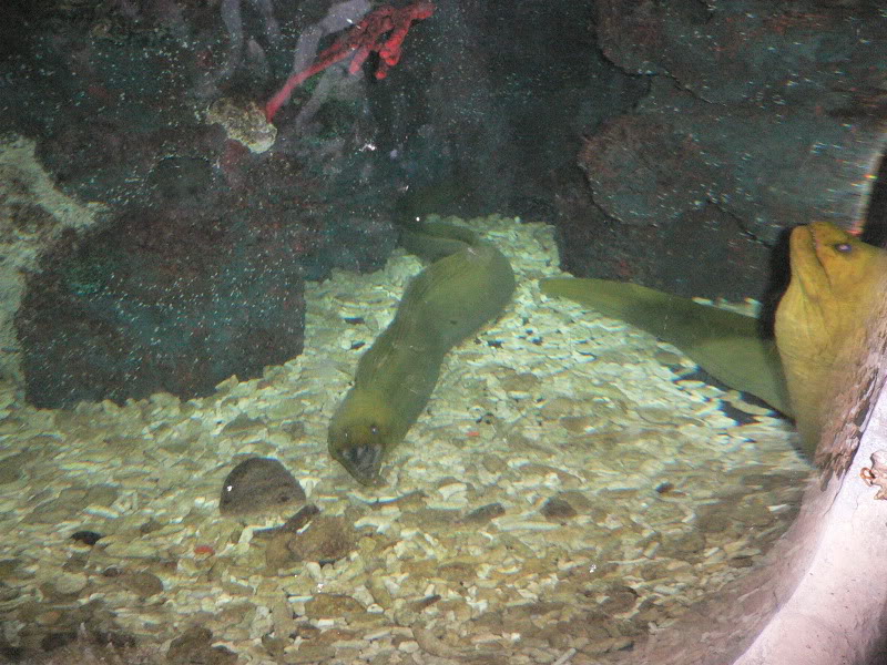 P1060873-1.jpg