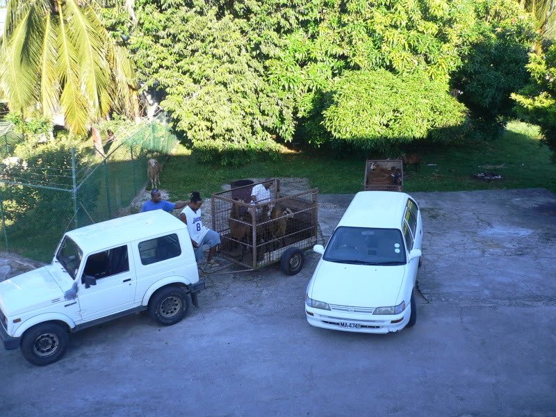P1070054-1.jpg