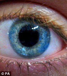 article1101073014DB2DC000004B0568_233x26-1.jpg