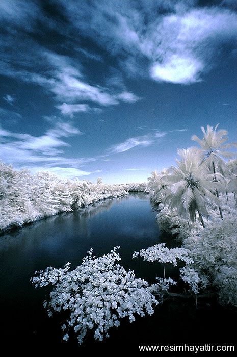 blueriverbyexolongq6-1.jpg
