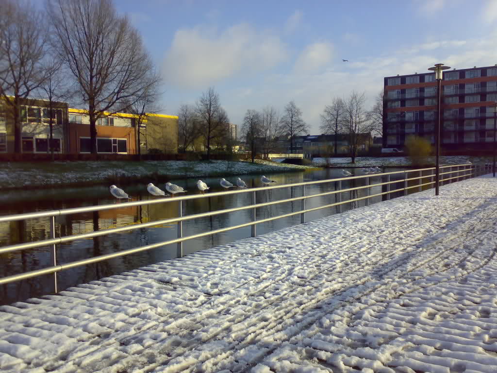 byn8i-1.jpg