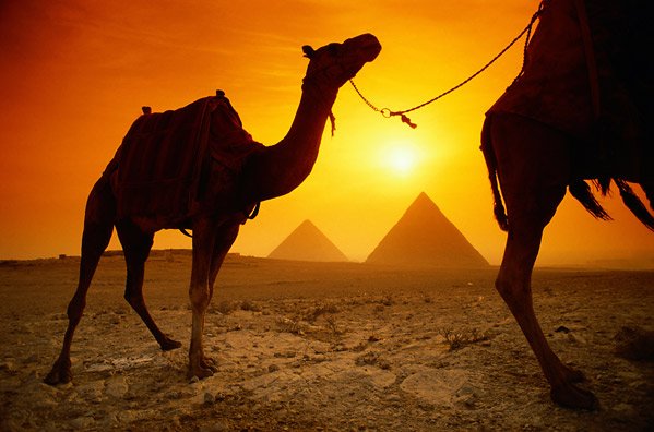 egypt 1 - *!* BeAuTiFul CrEaTiOnS Of ALLAH SWT *!*