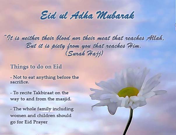 eiduladhacard 3 - •:*¨¨*:•..•:*¨¨*:•.EID.•:*¨¨*:•. Mubarak.•:*¨¨*:•.. •:*¨¨*:•