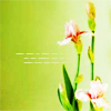 floral_icontestiris01-1.png