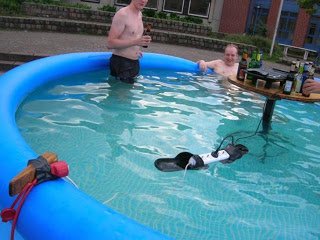 idiots-1.jpg