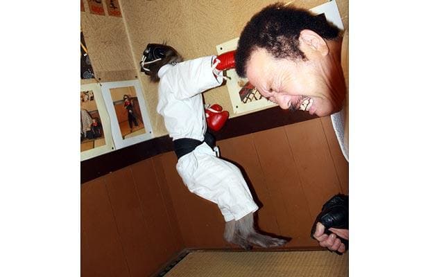 monkeypunch_1006065i-1.jpg