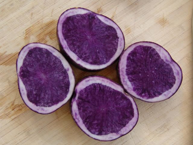 purple-1.jpg