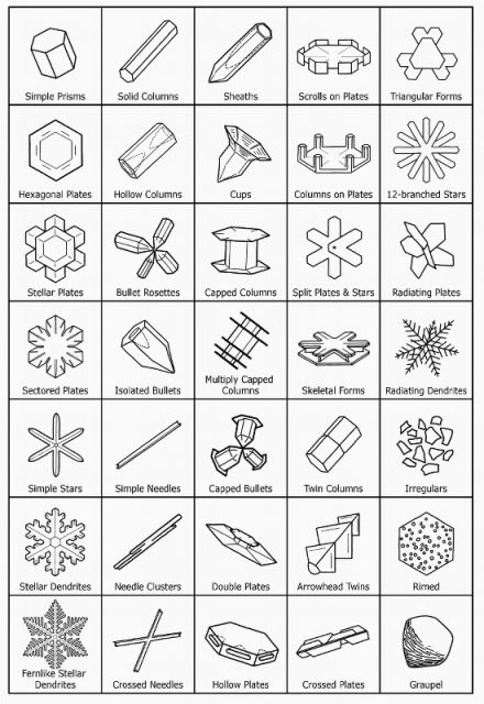 snowtypes3SNOWFLAKE-3.jpg
