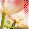 th_HOPE-1.jpg