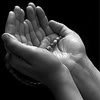 th_dua-1.jpg