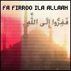 th_fafirooo-1.jpg