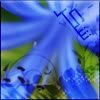 th_shukr2-1.jpg