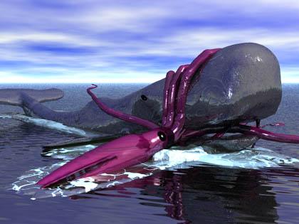 whalesqjpgusgAFQjCNF5yK5mGVmm4jy98FIE2Ux-1.jpg
