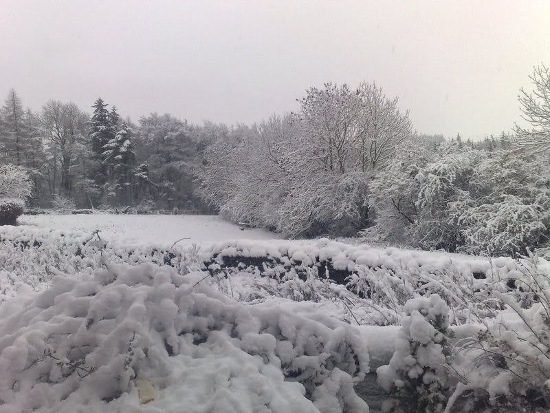 041220082103-1.jpg