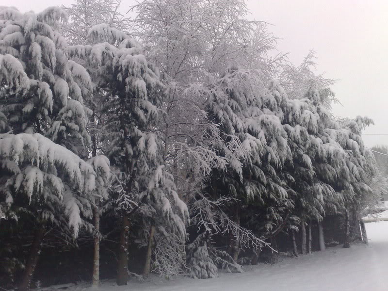 041220082109-1.jpg